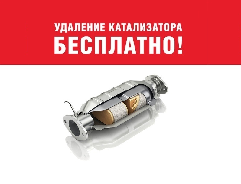 Бесплатное удаление катализатора+пламегаситель+Евро2