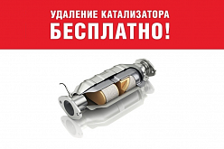 Бесплатное удаление катализатора+пламегаситель+Евро2